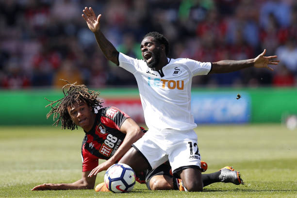 年来致力于 年来致力于